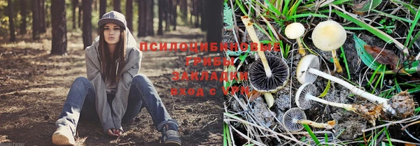 винт Сатка