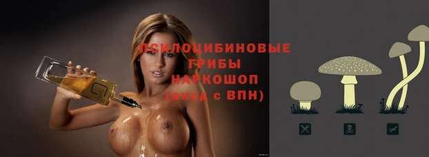 кокаин колумбия Алексин