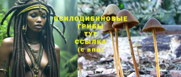 кокаин колумбия Алексин