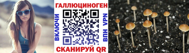 Галлюциногенные грибы Magic Shrooms Печоры